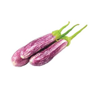 Brinjals vipex