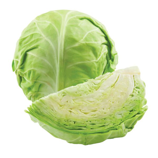 Cabbage vipex