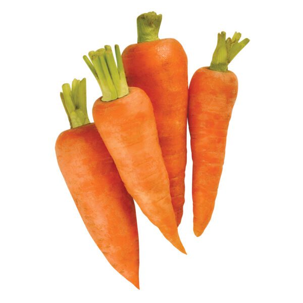 Carrot Vipex