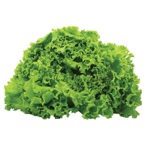 Salad Leaves 250g vipex